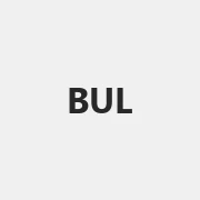 Bulkly Logo